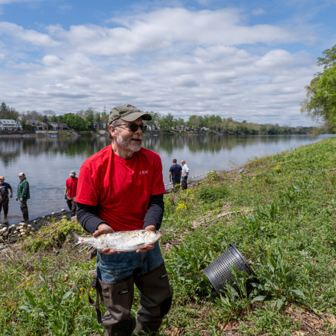 The Shad That Saved an Army: America’s Forgotten Revolutionary War Hero