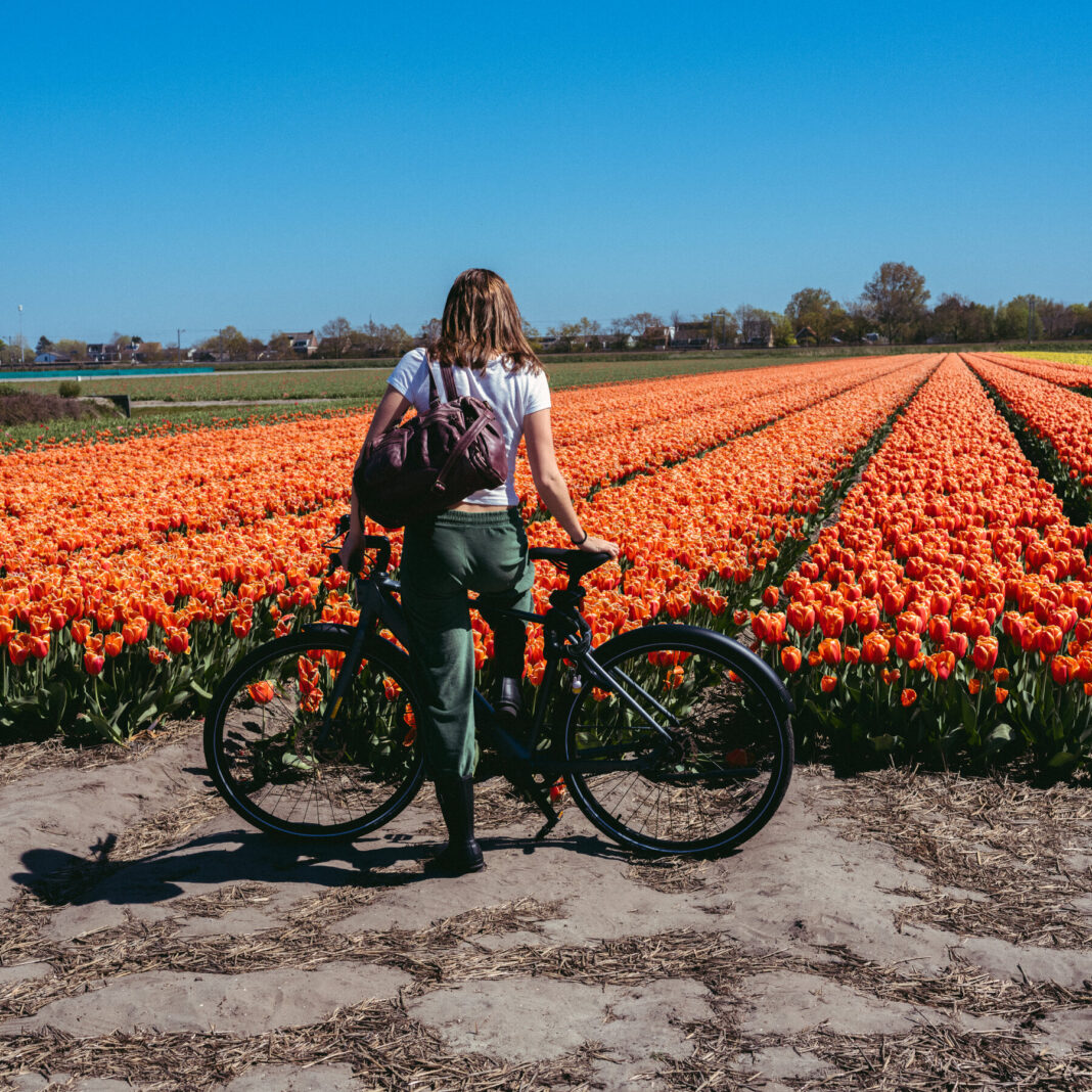 Cycling Through the Netherlands: A Riverboat-Based Self-Guided Bike Tour