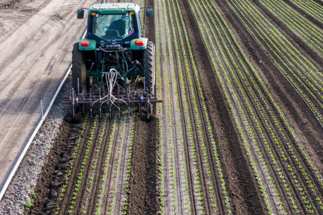 How Rising Farm Loan Stress Is Squeezing America’s Agricultural Economy