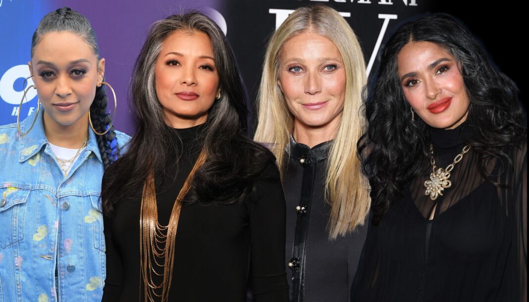 Quiet Silver: The Most Natural Way to Transition to Gray Hair