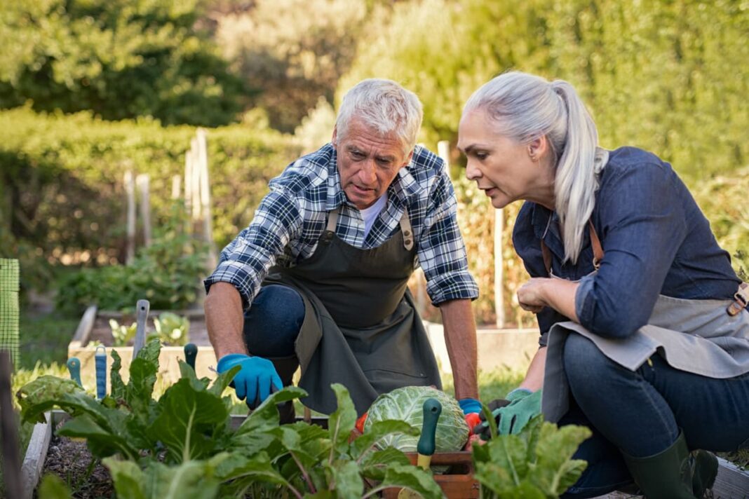 ‘I own my home and have $950,000 saved’: At 67 with a $100,000 salary, should I take $30,000 in Social Security now or wait until 70?