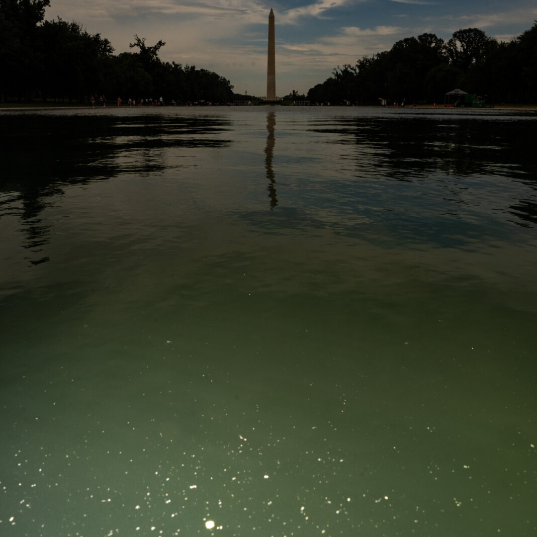 From Scum to Symbol: Why the National Mall’s Algae Blooms Are a Lesson in American Ecology