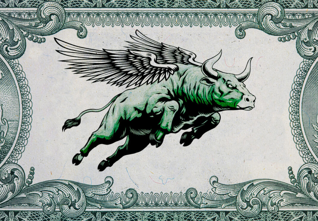 Is the U.S. Stock Market Becoming ‘Too Big to Fail’?