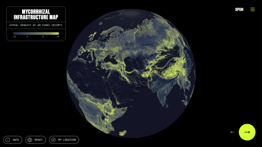 Scientists Unveil the First Complete Map of Earth’s Hidden Fungal Network