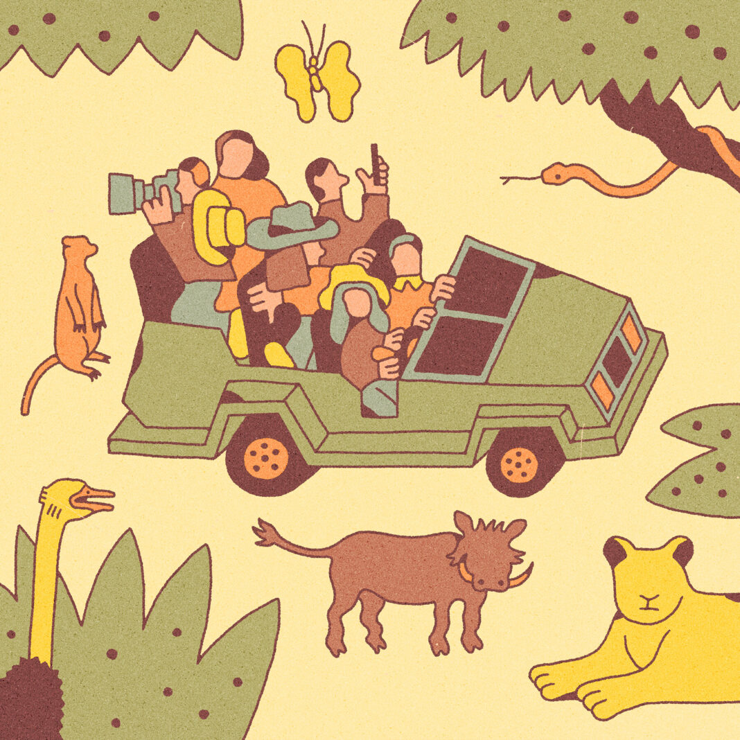 How to Plan an African Safari: Timing, Costs & Essential Tips