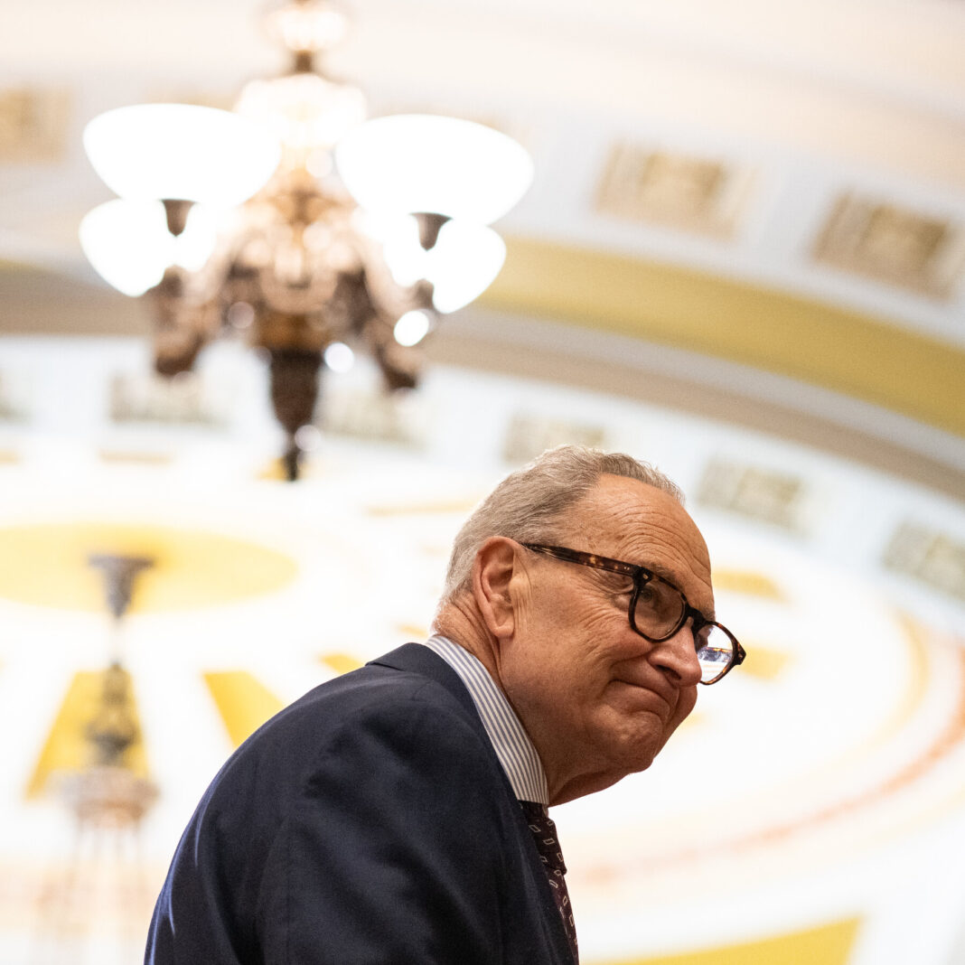 Schumer Buries the Hatchet: A Strategic Call to Unite Michigan Democrats