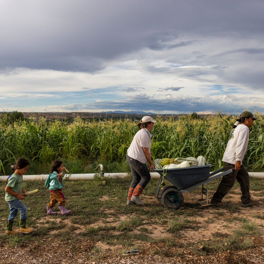 Rural Farmers Face Crippling Delays as USDA Staff Shortages Paralyze Loan, Aid, and Technical Support