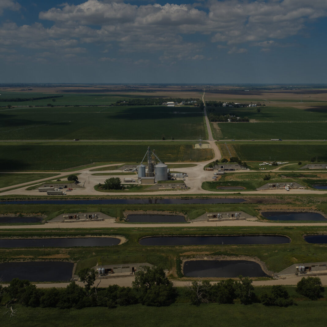 Pork Baron’s Border Stance Clashes as Records Show Undocumented Labor at Pillen Farms