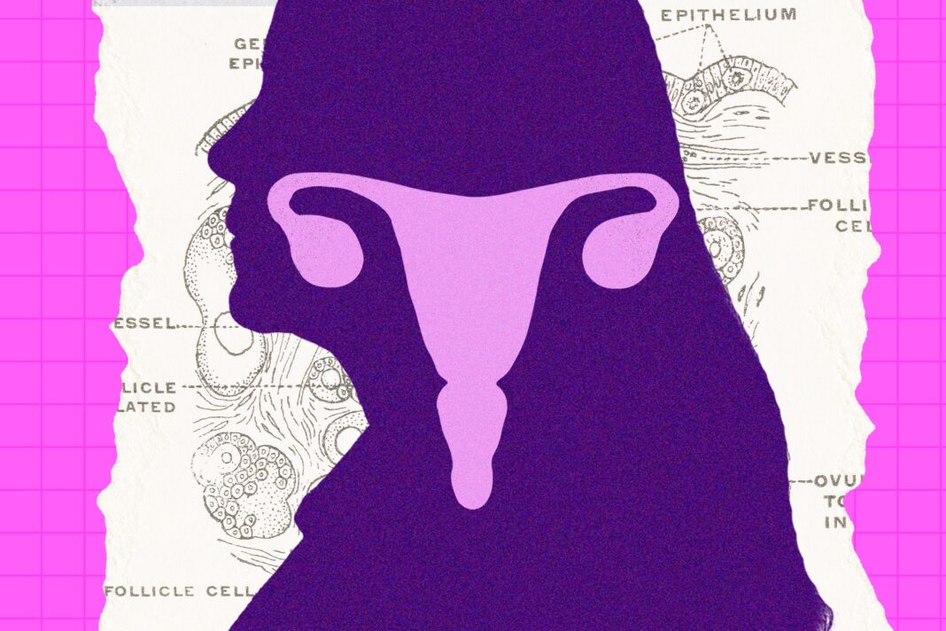 The Postmenopausal Ovary Isn’t Done Yet: New Research Reveals Its Hidden Lifelong Role