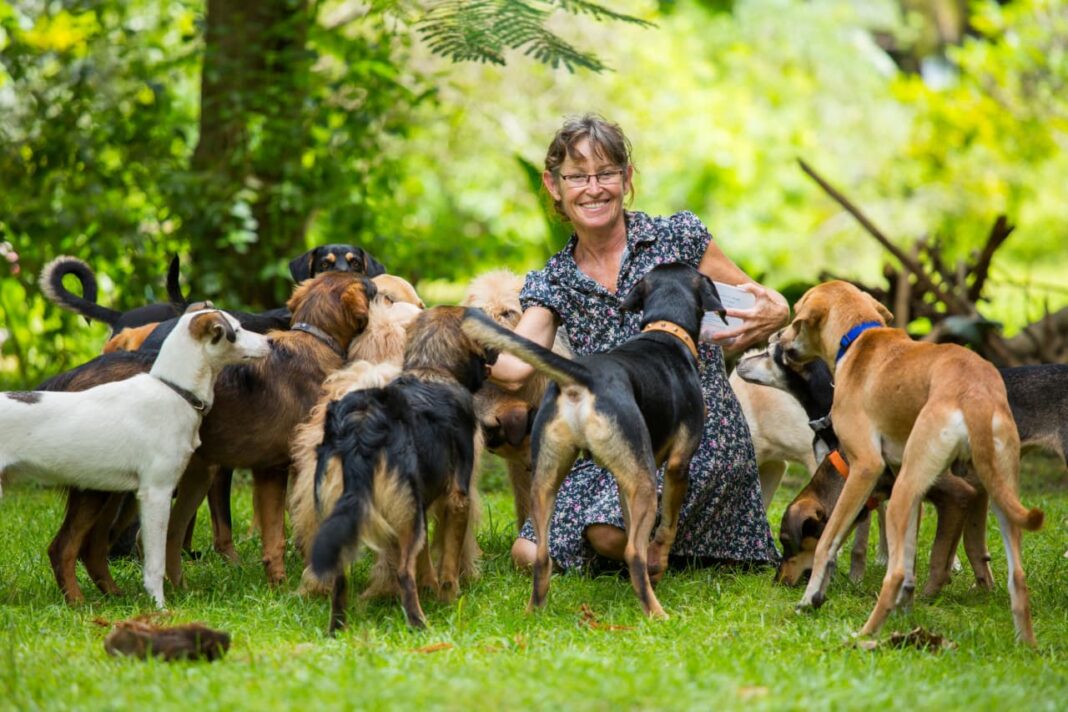 My Friend Grosses $300,000 a Year With Her Pet-Sitting Business but Only Pays Herself $50,000 — Should You Do the Same?