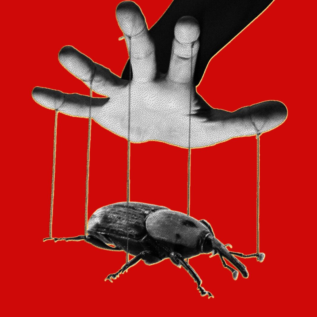 The PHP Meltdown: How AI Turns Old Bugs into Easy Exploits