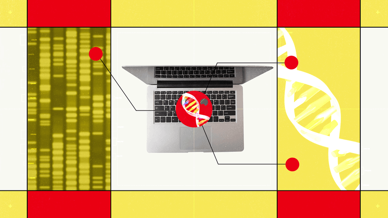 Hugging Face’s Open-Source AI Model Lets Researchers Chat With DNA to Predict Mutation Effects
