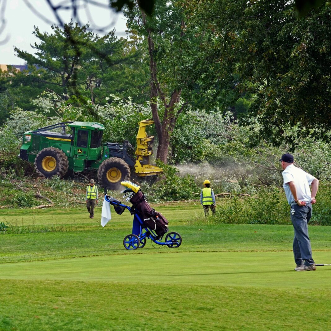 Over 500 Trees to Be Removed at D.C. Golf Course in Trump Redevelopment Plan