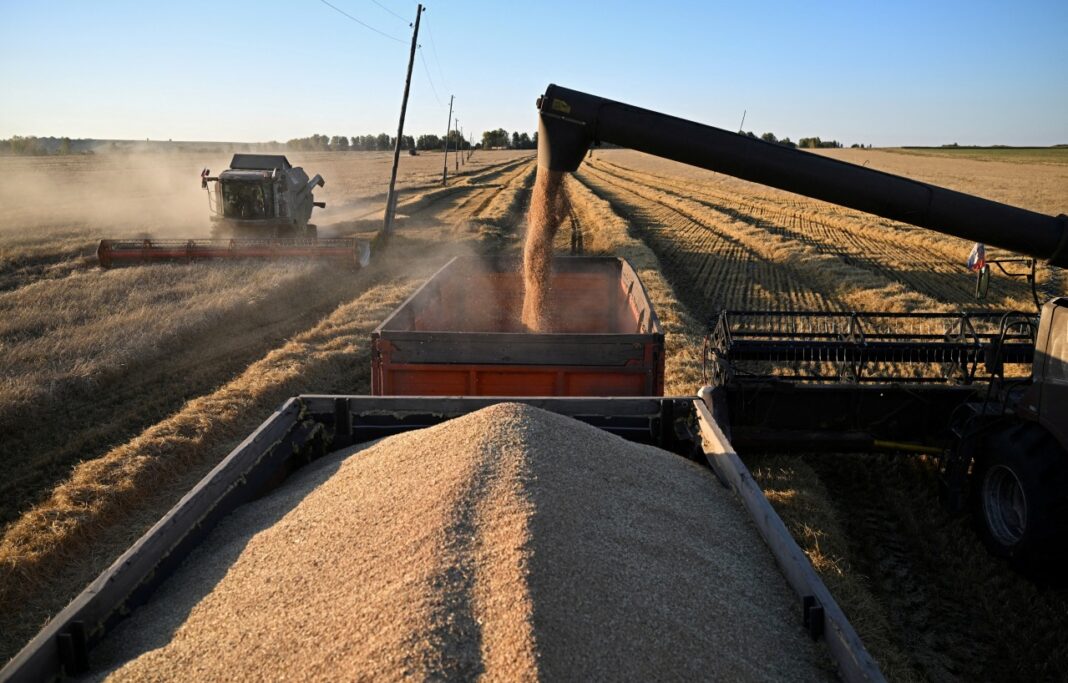 With Disruption on Every Side, Food Markets Are Somehow Eerily Quiet