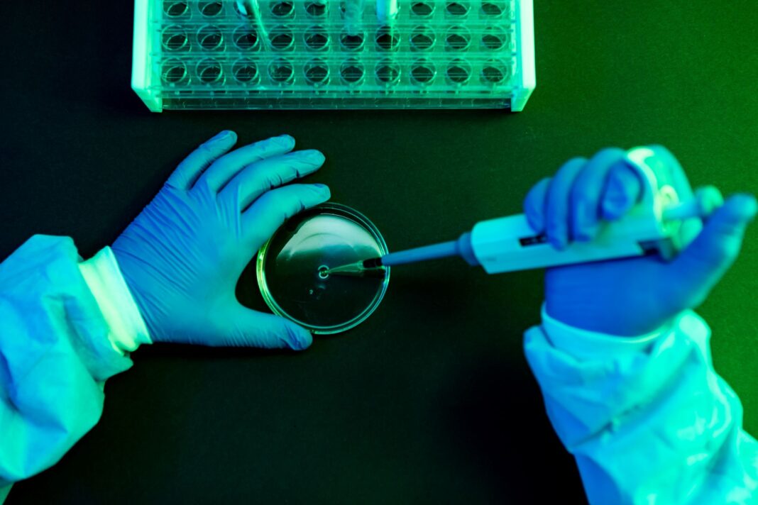 Shamonda Virus Confirms First Human Infection: What You Need to Know About the Newly Detected Pathogen